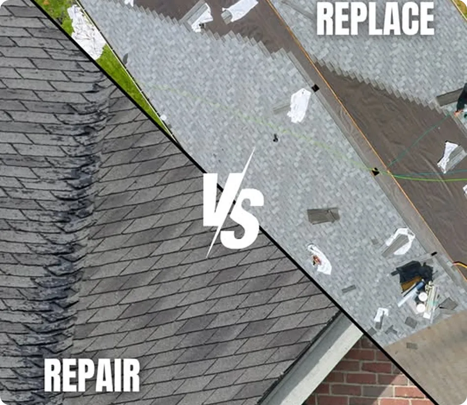 comparison between repair and replace