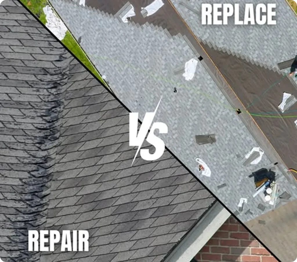 comparison between replace and repair